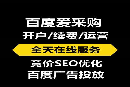 百度SEO推广成功案例：品牌知名度提升